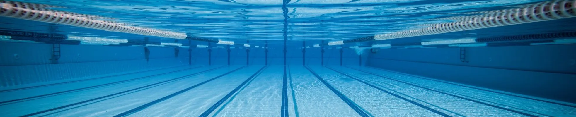 West Cook YMCA Swim Instructors Lifeguards Team 2024